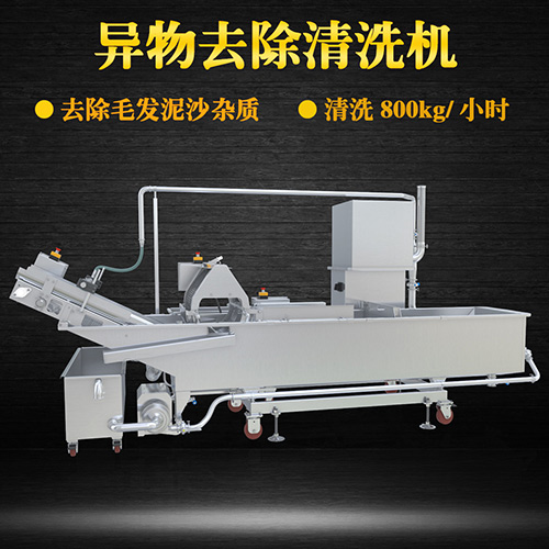果蔬專用清洗機，氣泡清洗，清洗800kg小時